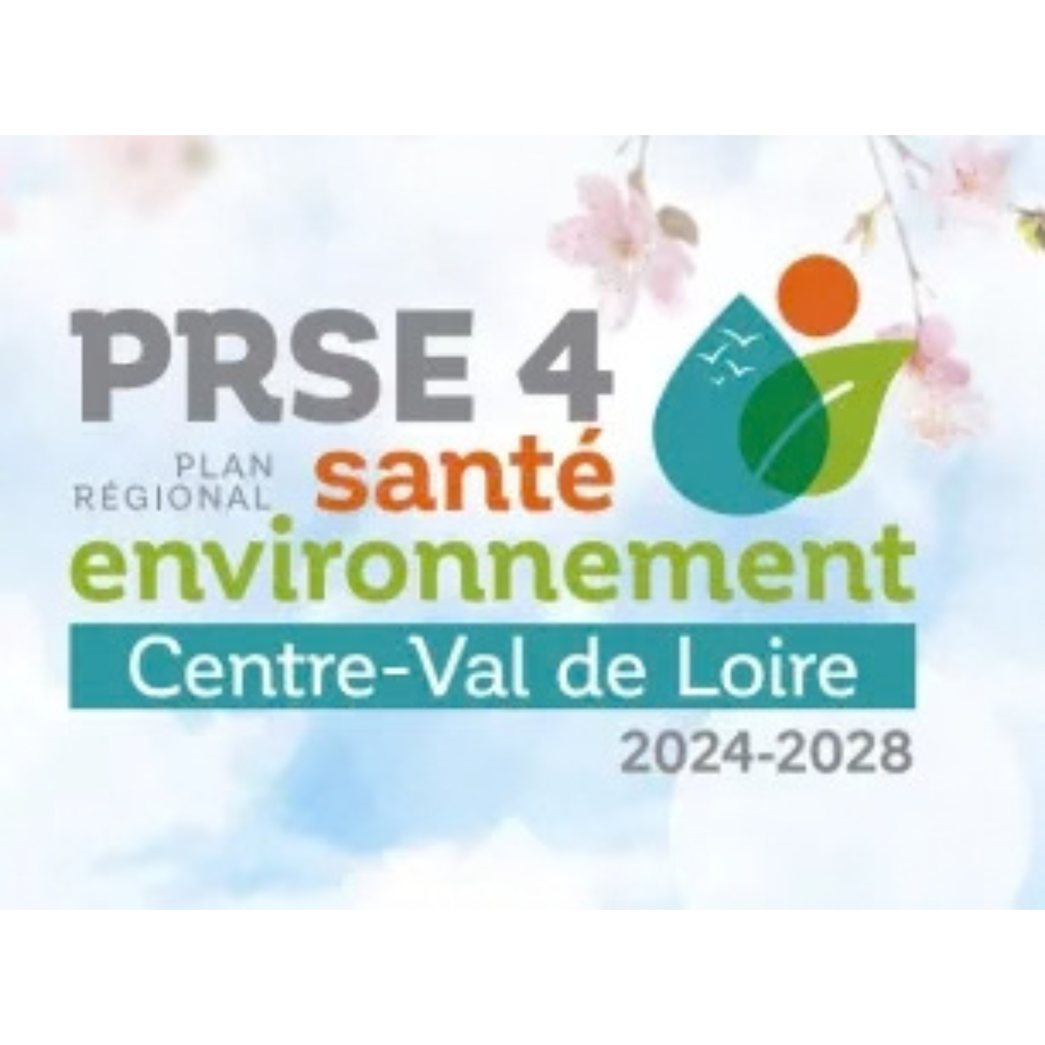 Visuel PRSE.png