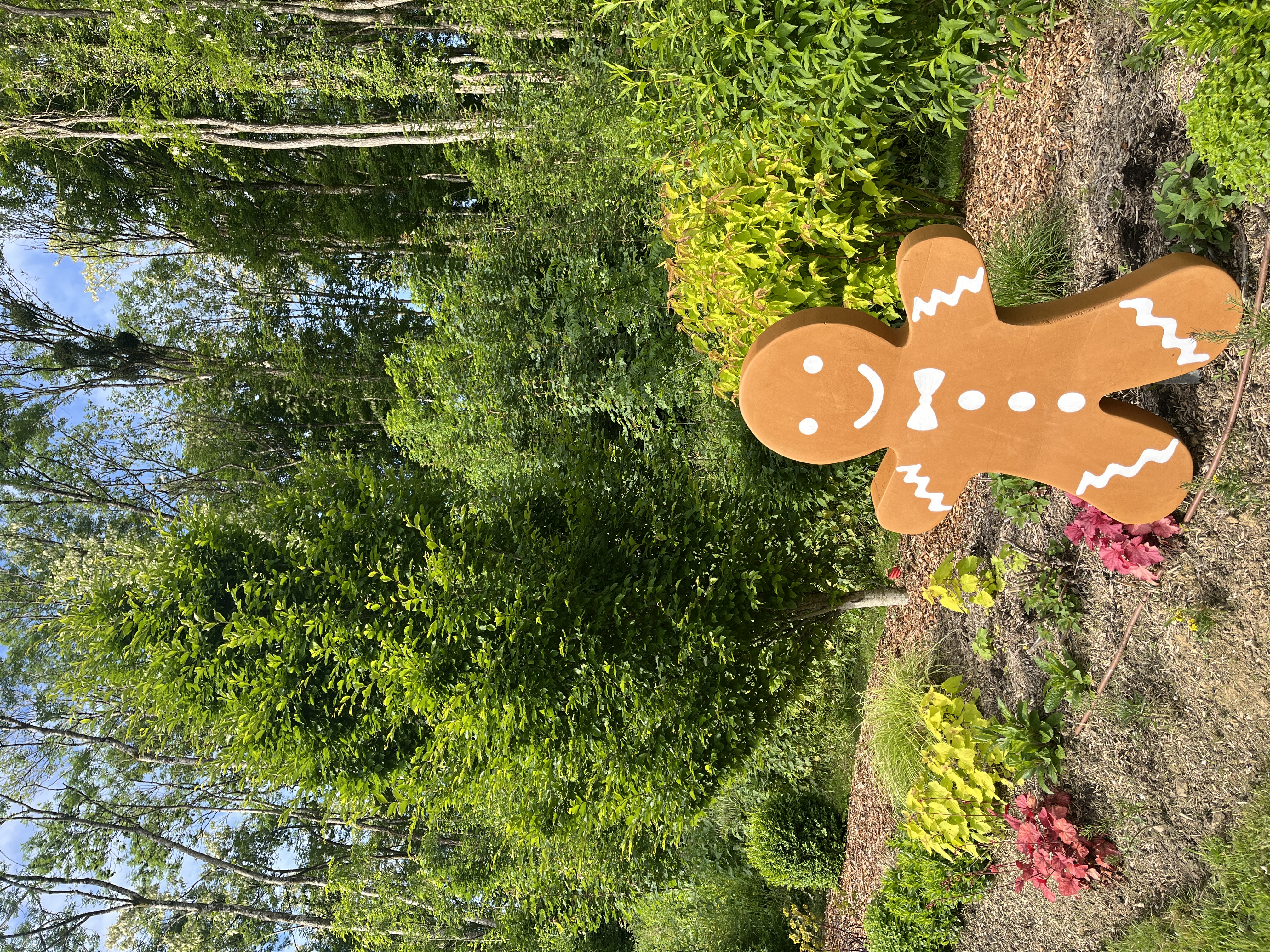 rte de langres 2.jpeg