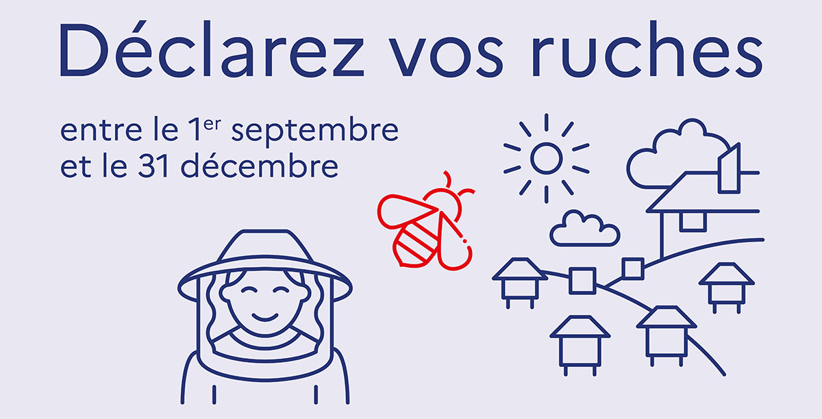 Affiches_declaration_ruches.jpg