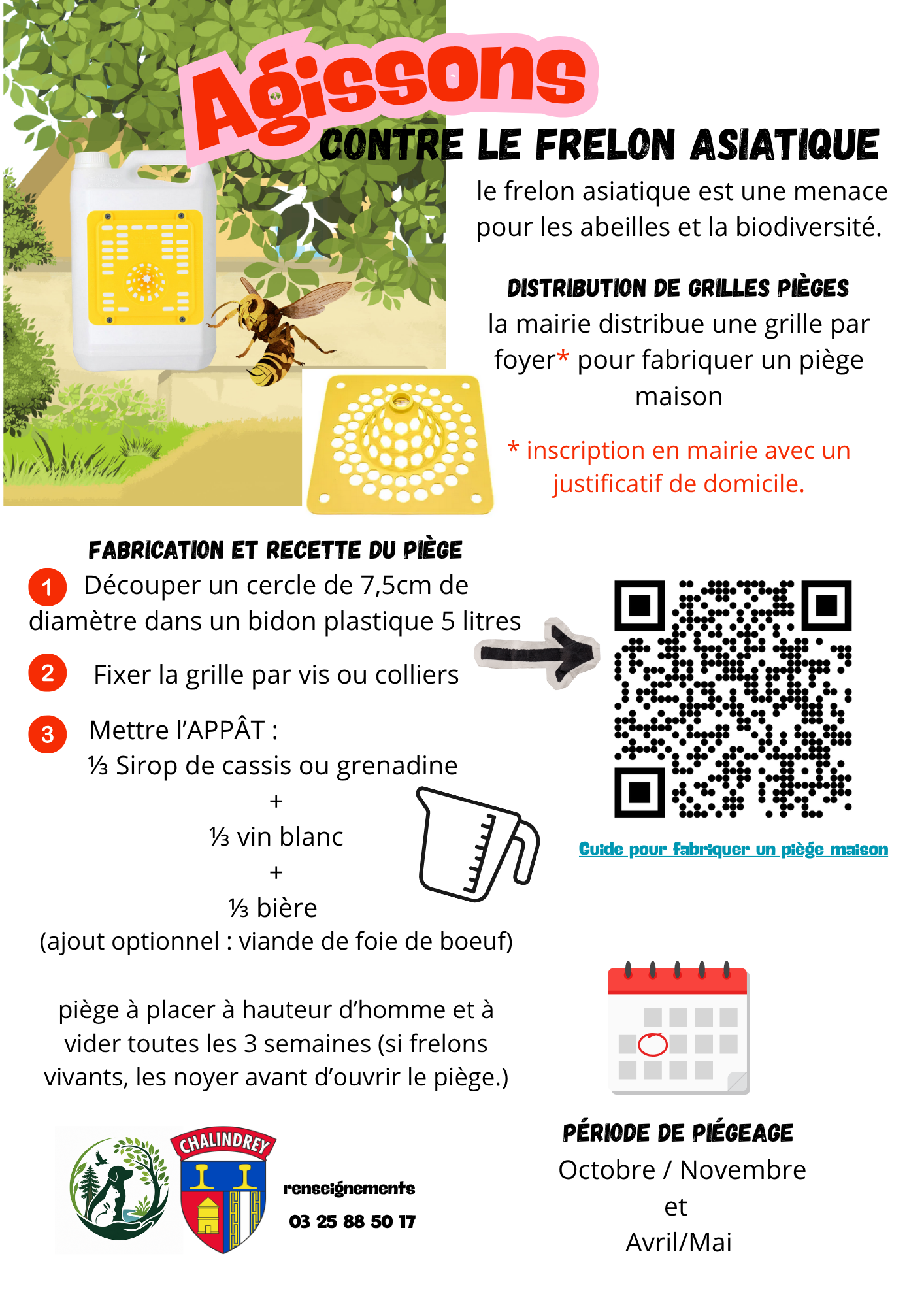 frelon asiatique pièges_1_.png