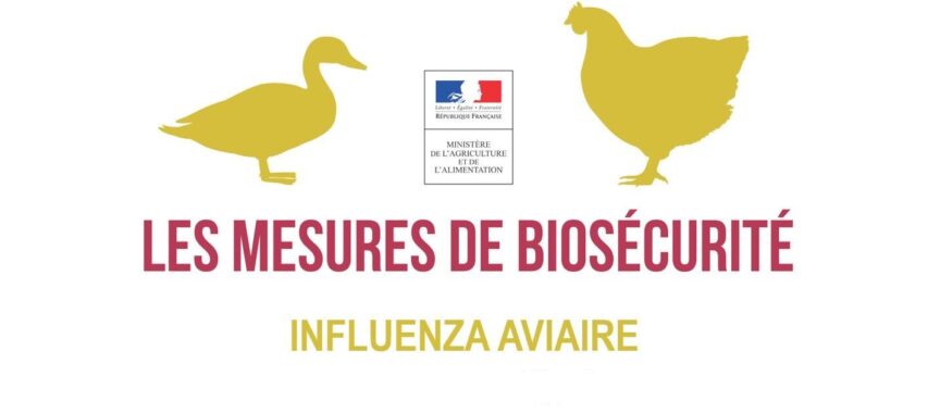 influenza-aviaire-novembre-21jpeg-jpg-864x380.jpg