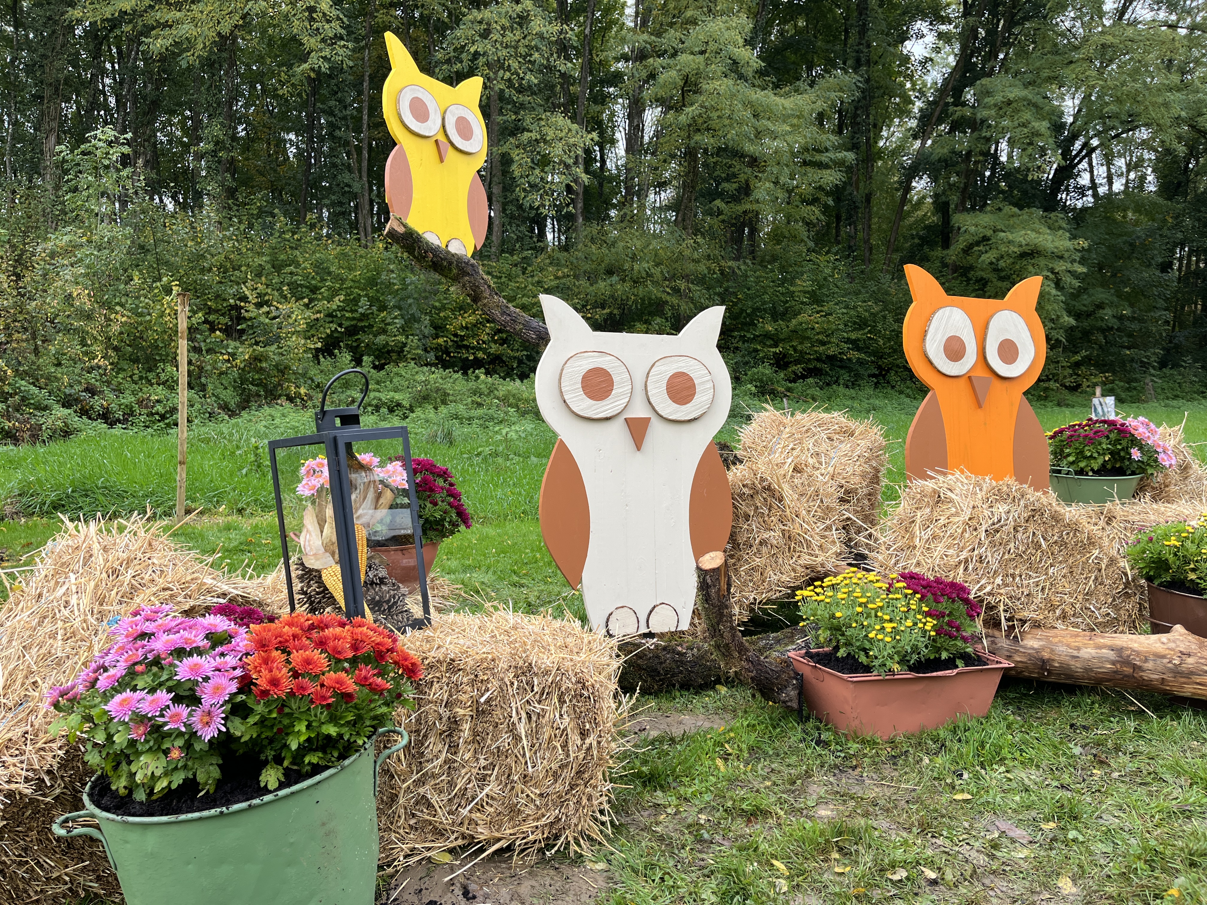 rte de Langres 4.jpeg