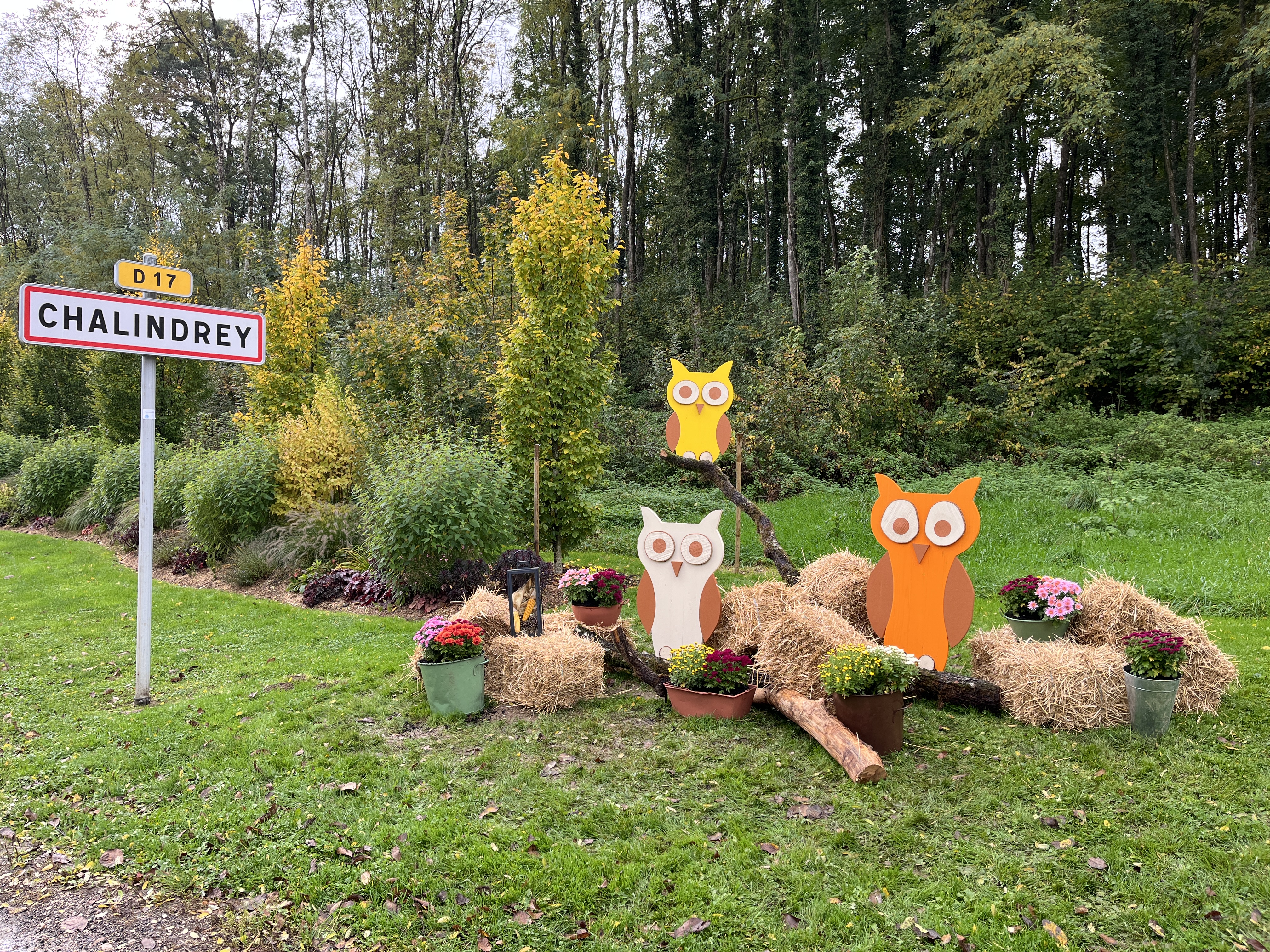 rte de Langres 1.jpeg