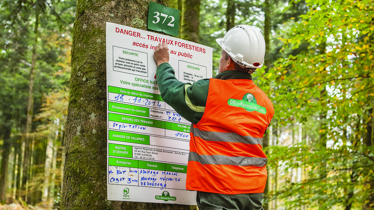 travaux_forestiers.jpg