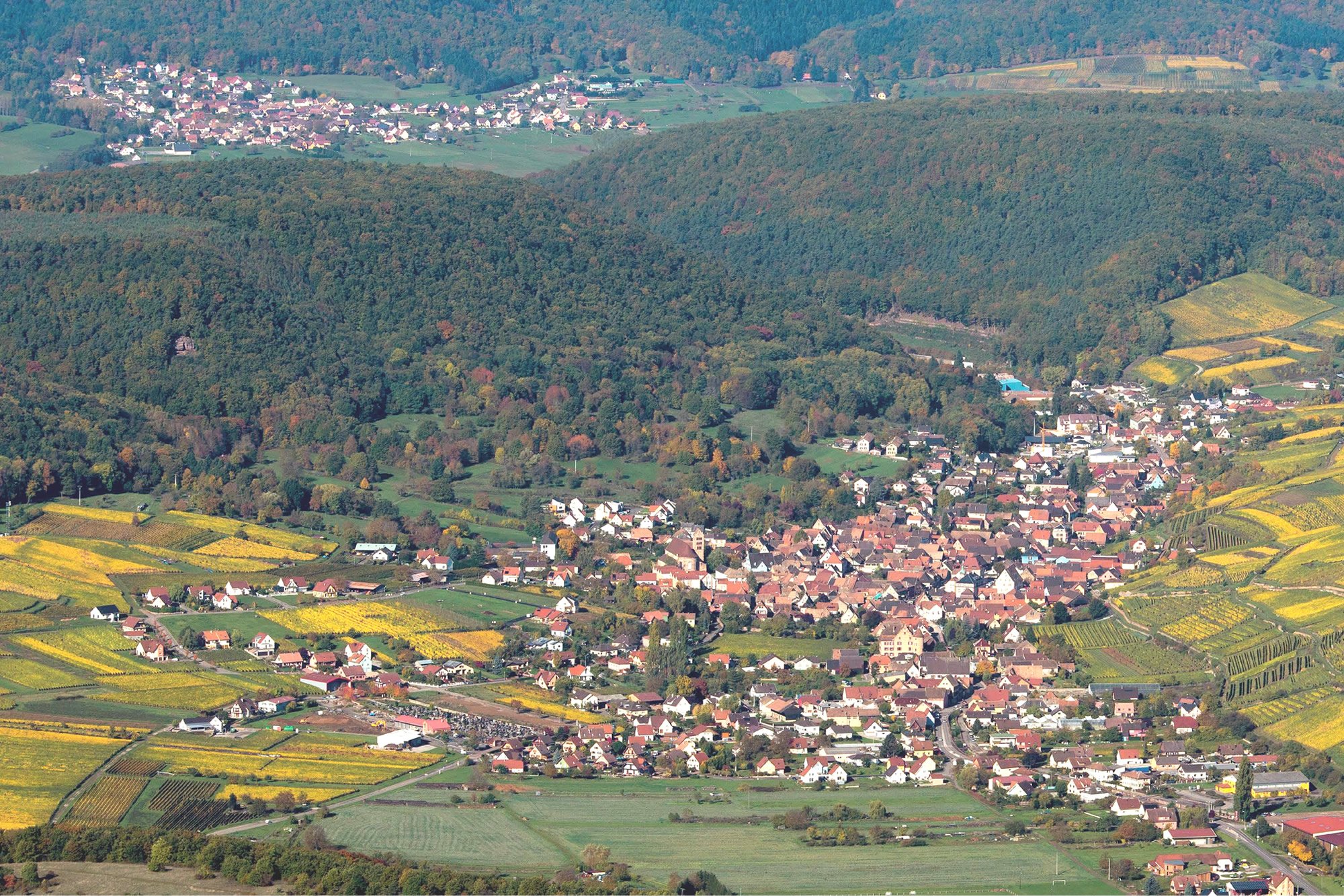 plu.jpg