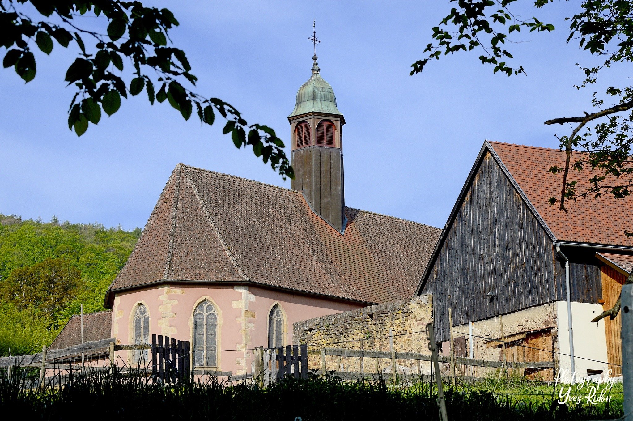 schaefertal@yves_ridon.jpg