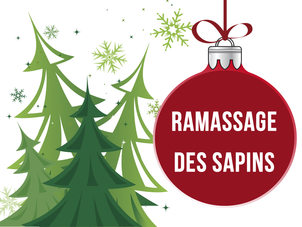 ramassage_sapins.png
