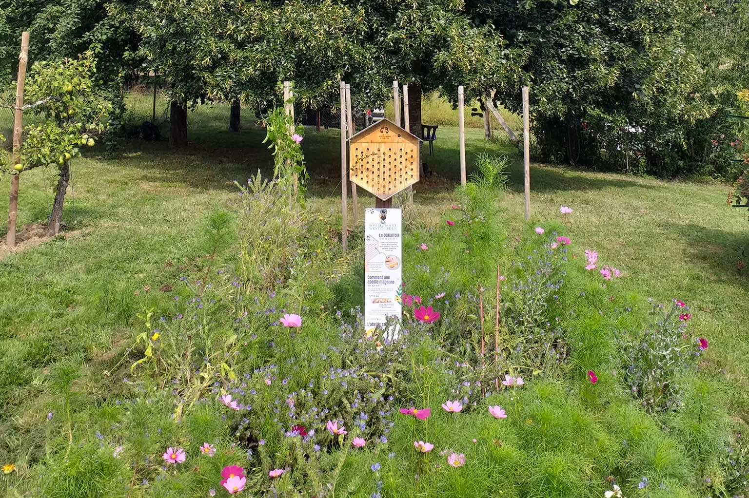 commune_nature.jpg