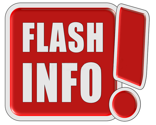 flashInfo.png