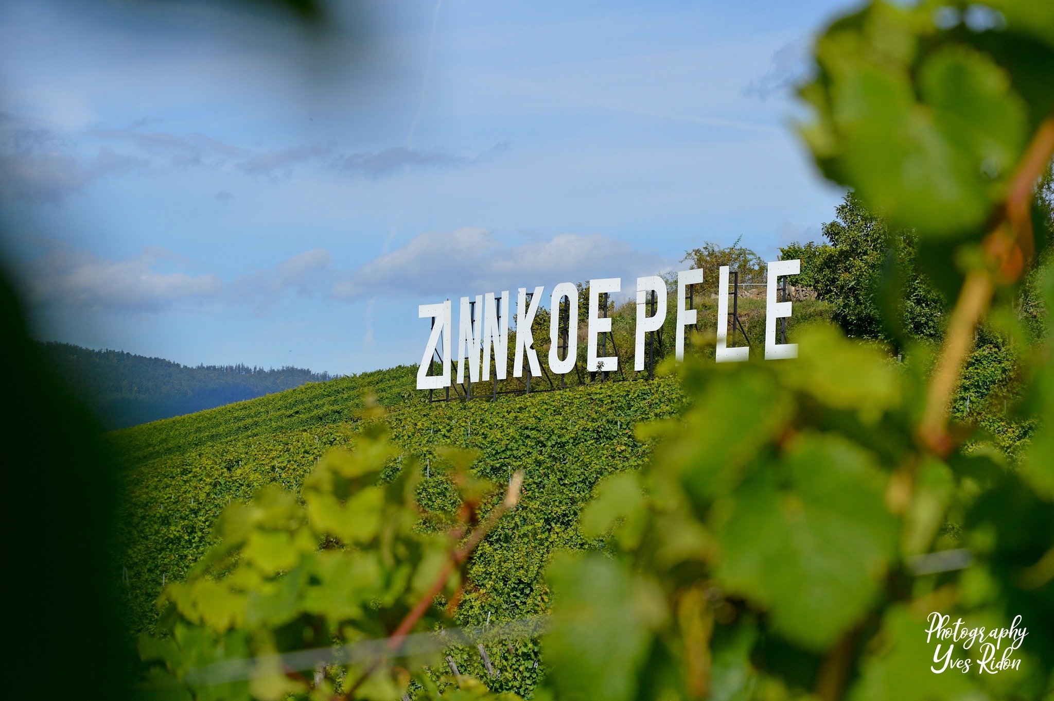 zinnkoepfle_@yves_ridon.jpg