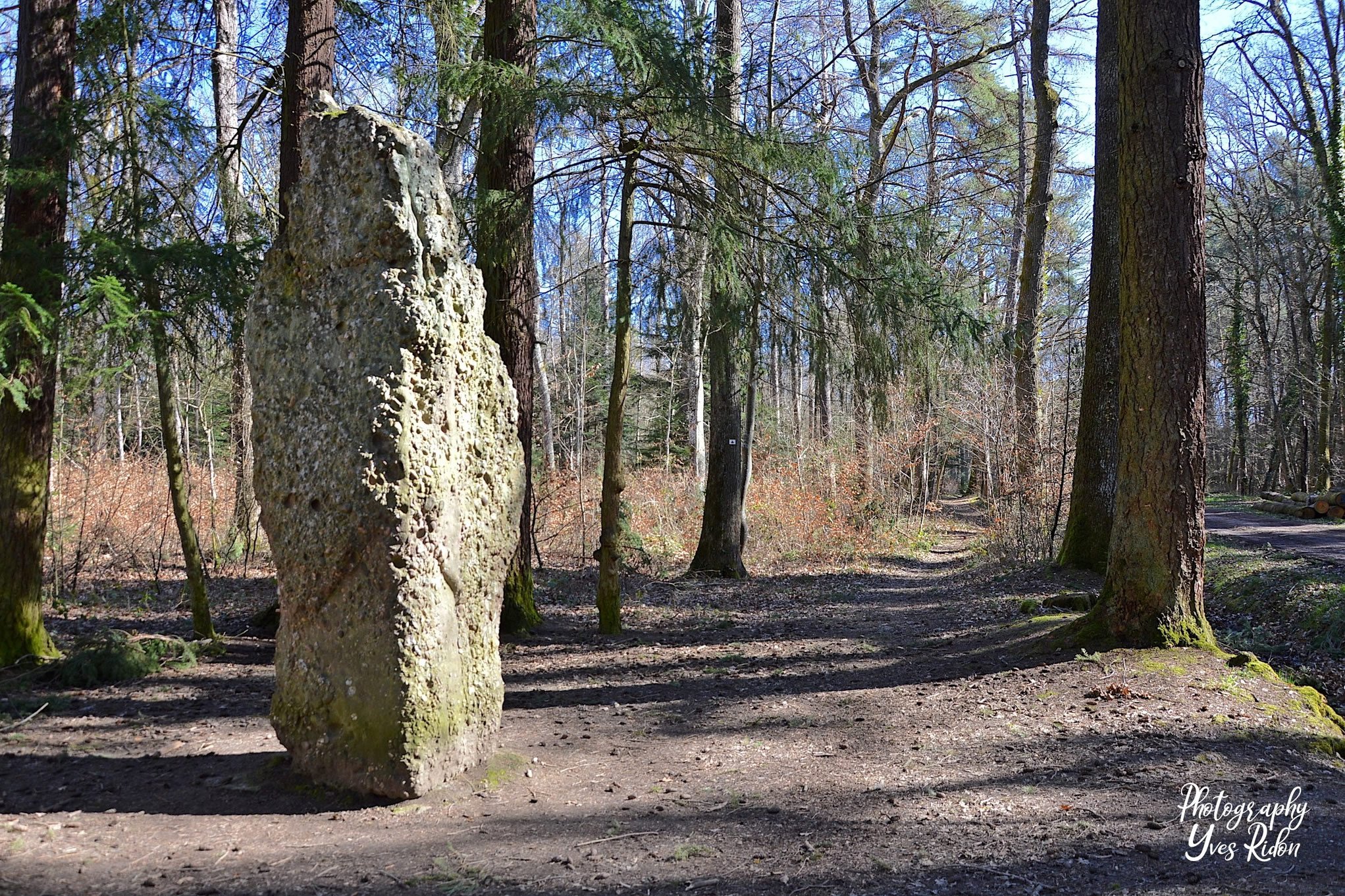 langenstein@yves_ridon.jpg