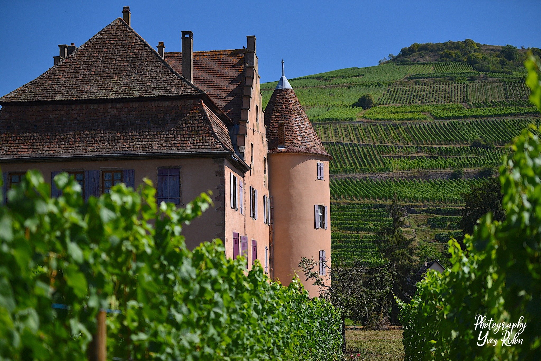 chateau_wagenbourg@yves_ridon.jpg