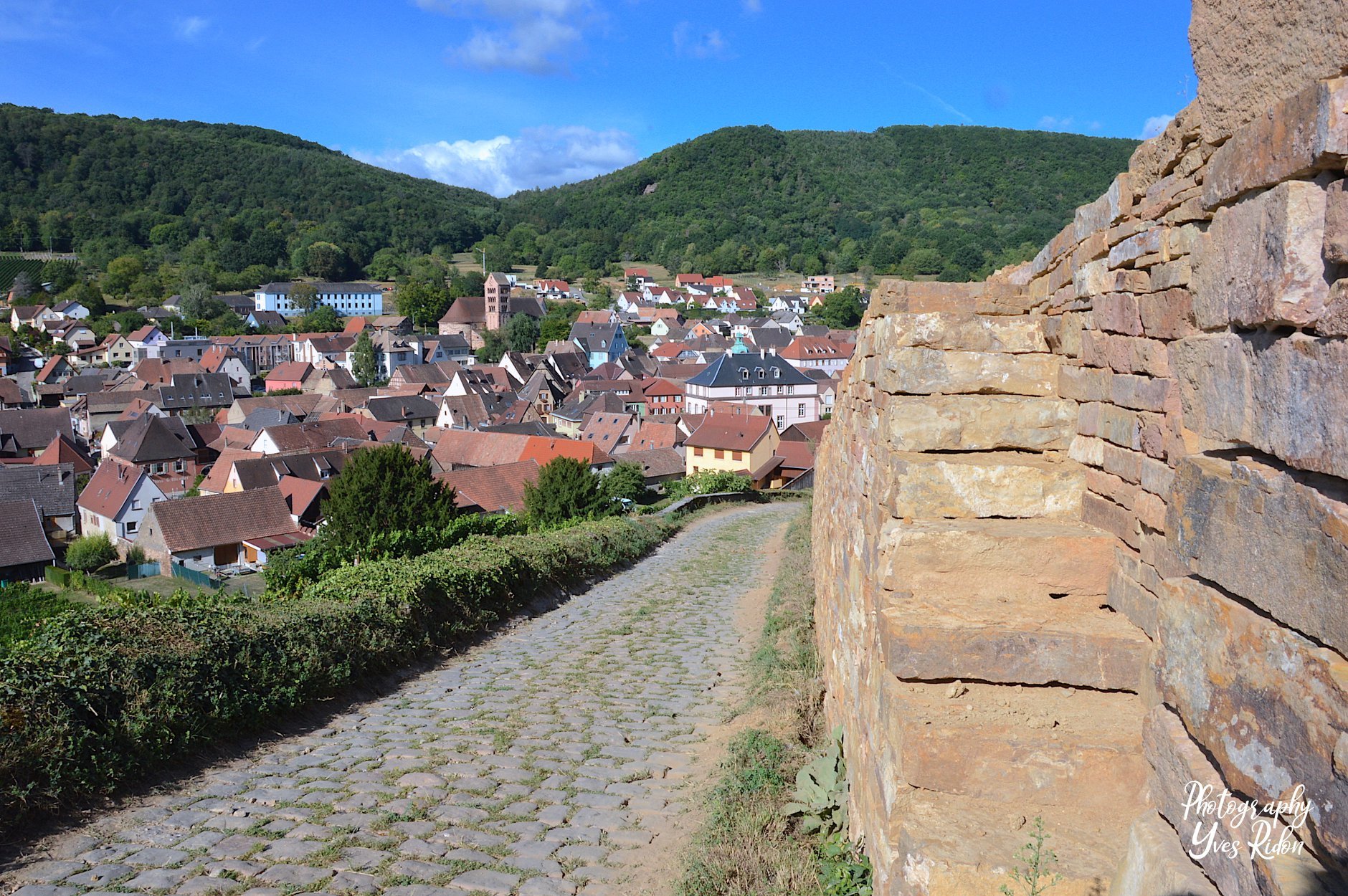 sentier_viticole_2@yves_ridon.jpg