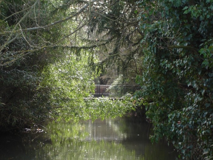 un bras de l_eure.jpg