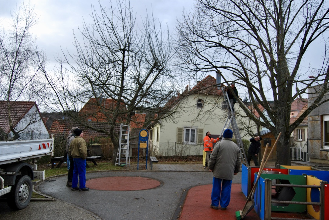 21.02 - Taille Arbres Ecole Maternelle _43_.jpg