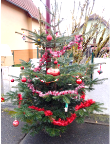 Sapins participatifs 2.png