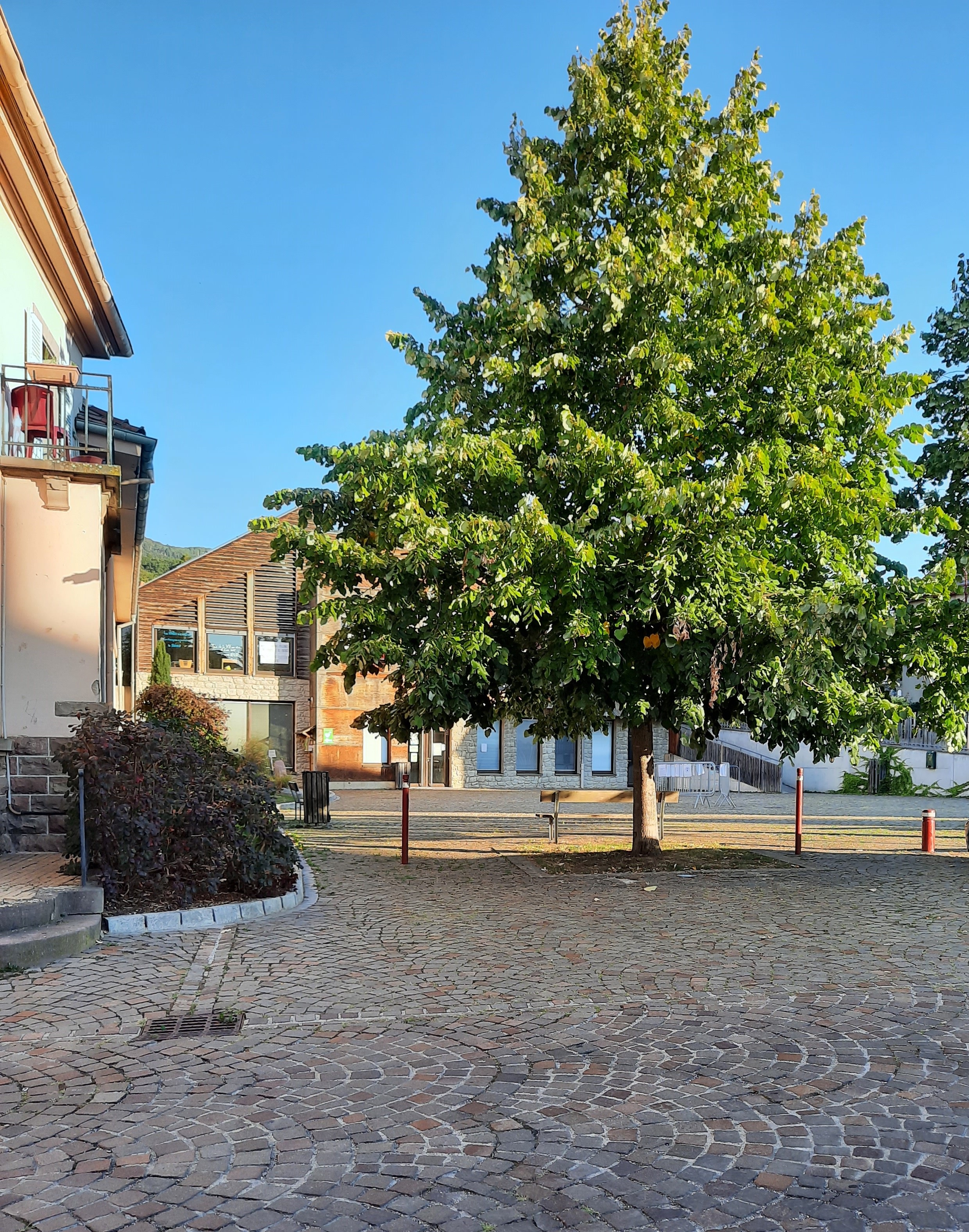 place des tilleuils2.jpg