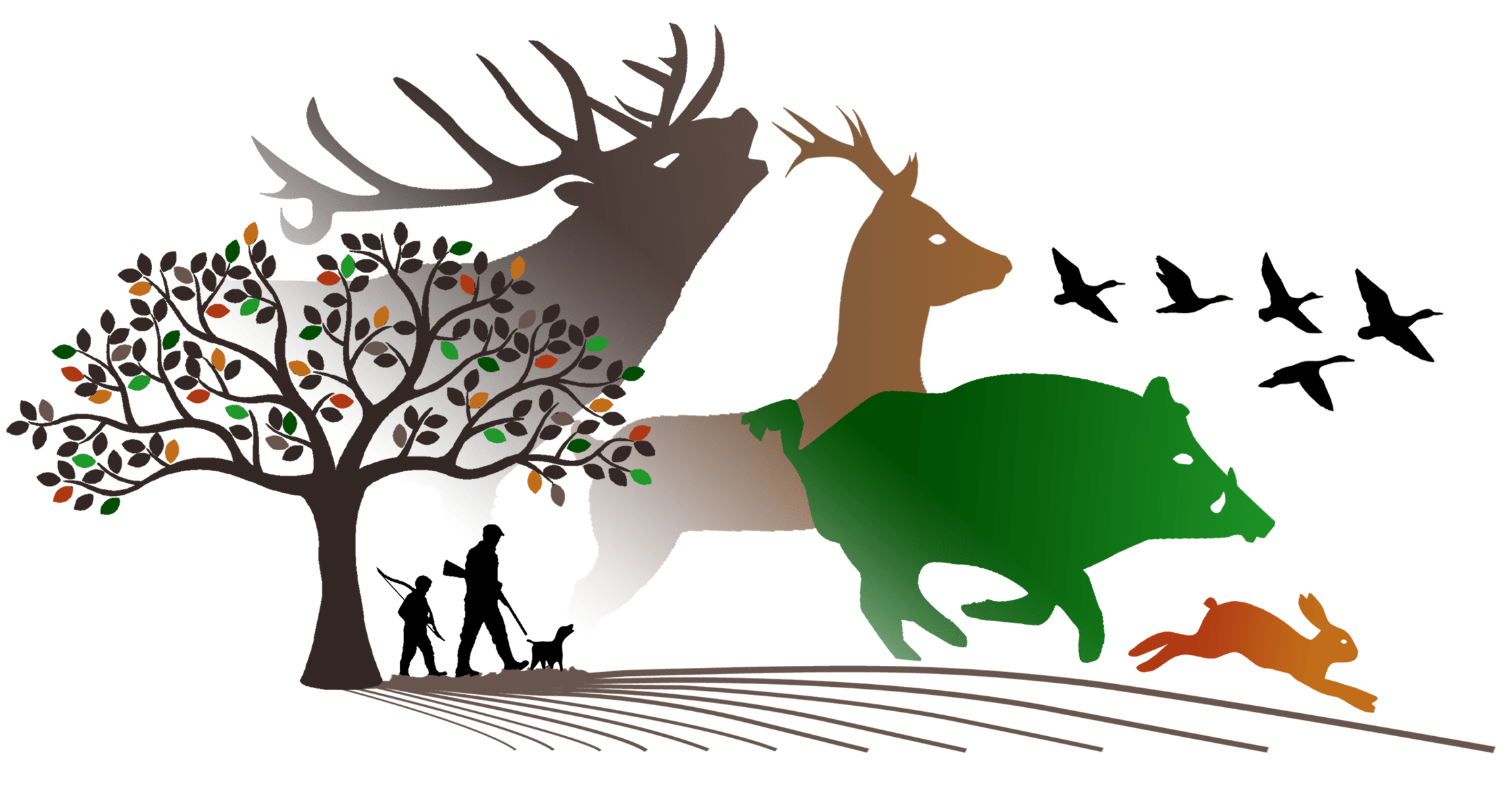 visuel chasse.png