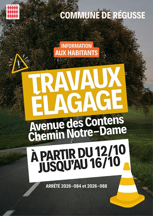 élagage2.png