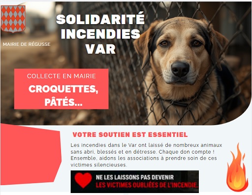 animaux.jpg