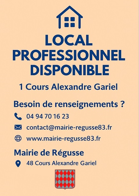 local professionnel 2.jpg