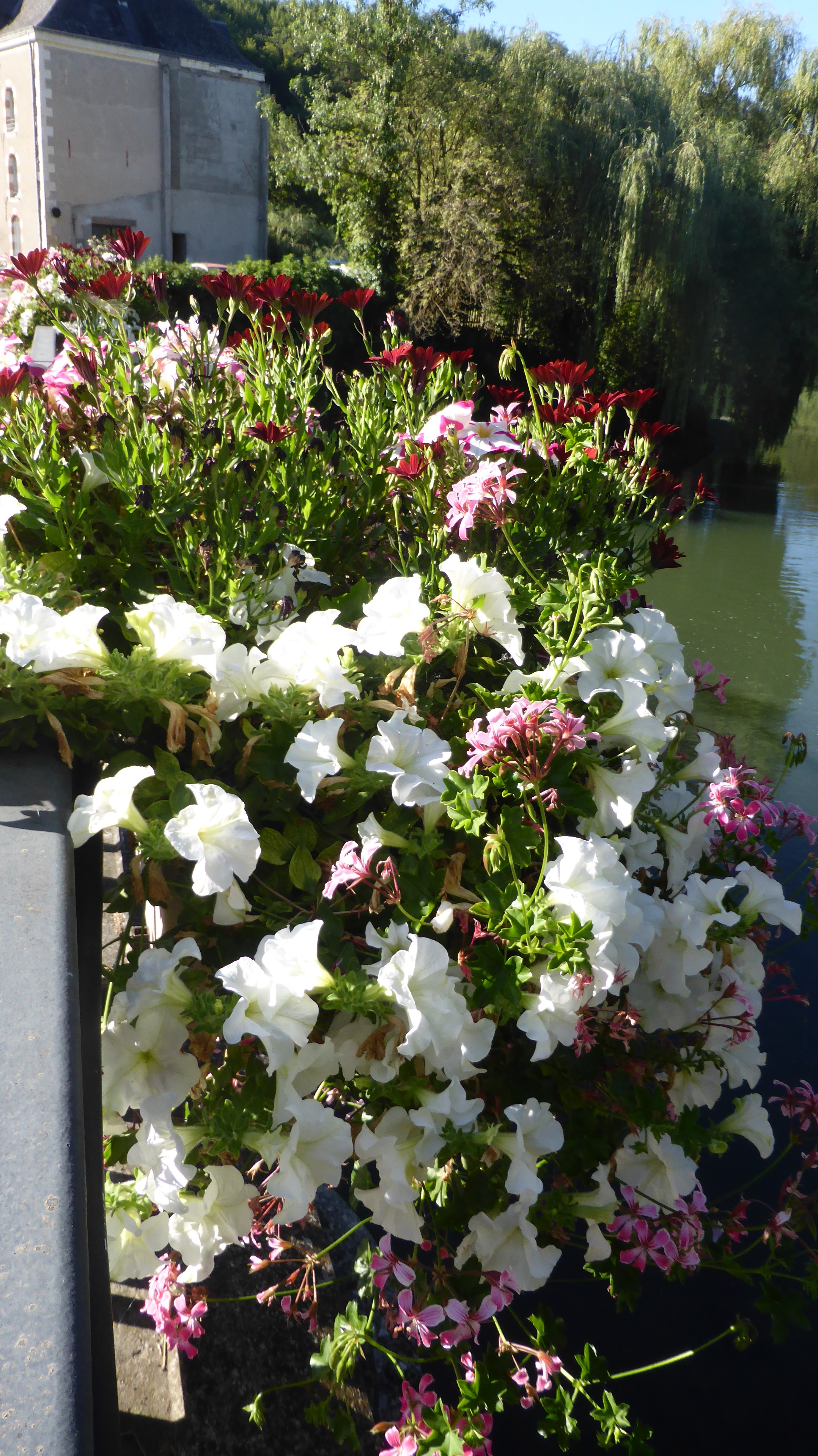 photo pont fleurissement 2022.jpg