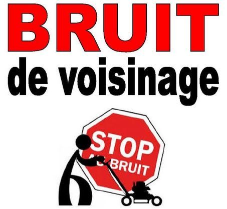 image_bruit.jpg