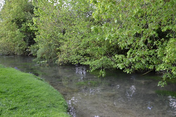 riviere croissy sur celle 6.jpg