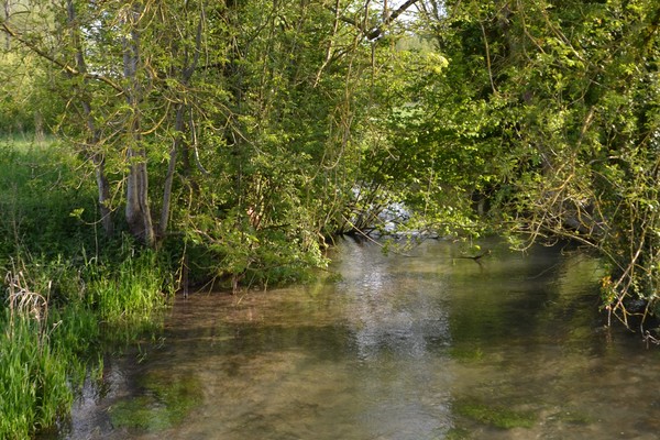 riviere croissy sur celle 2.jpg