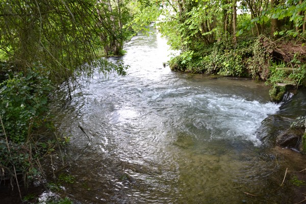 riviere croissy sur celle 5.jpg
