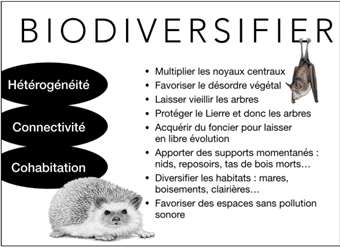 biodiversifier.png