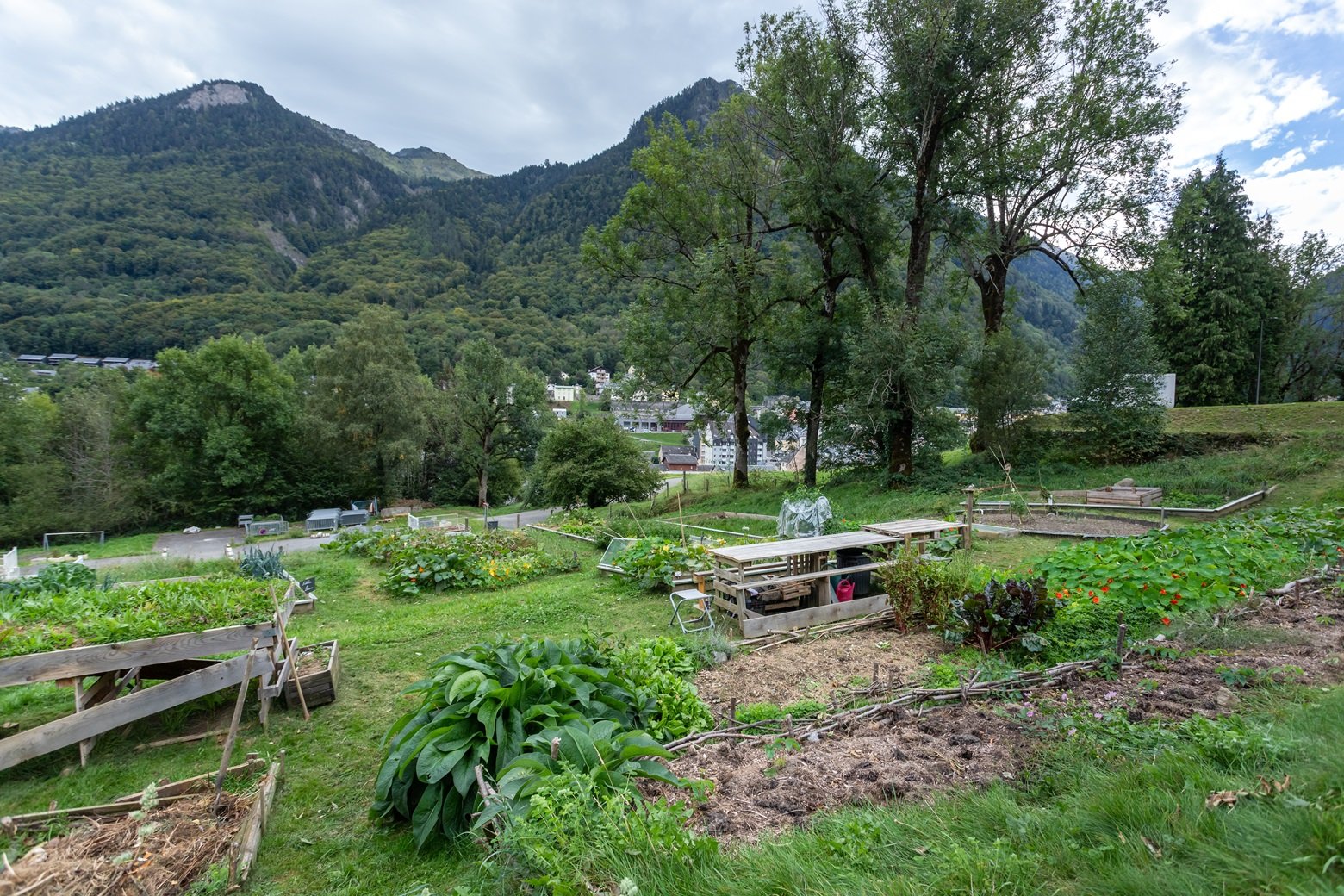 Jardins Partagés 23.jpg