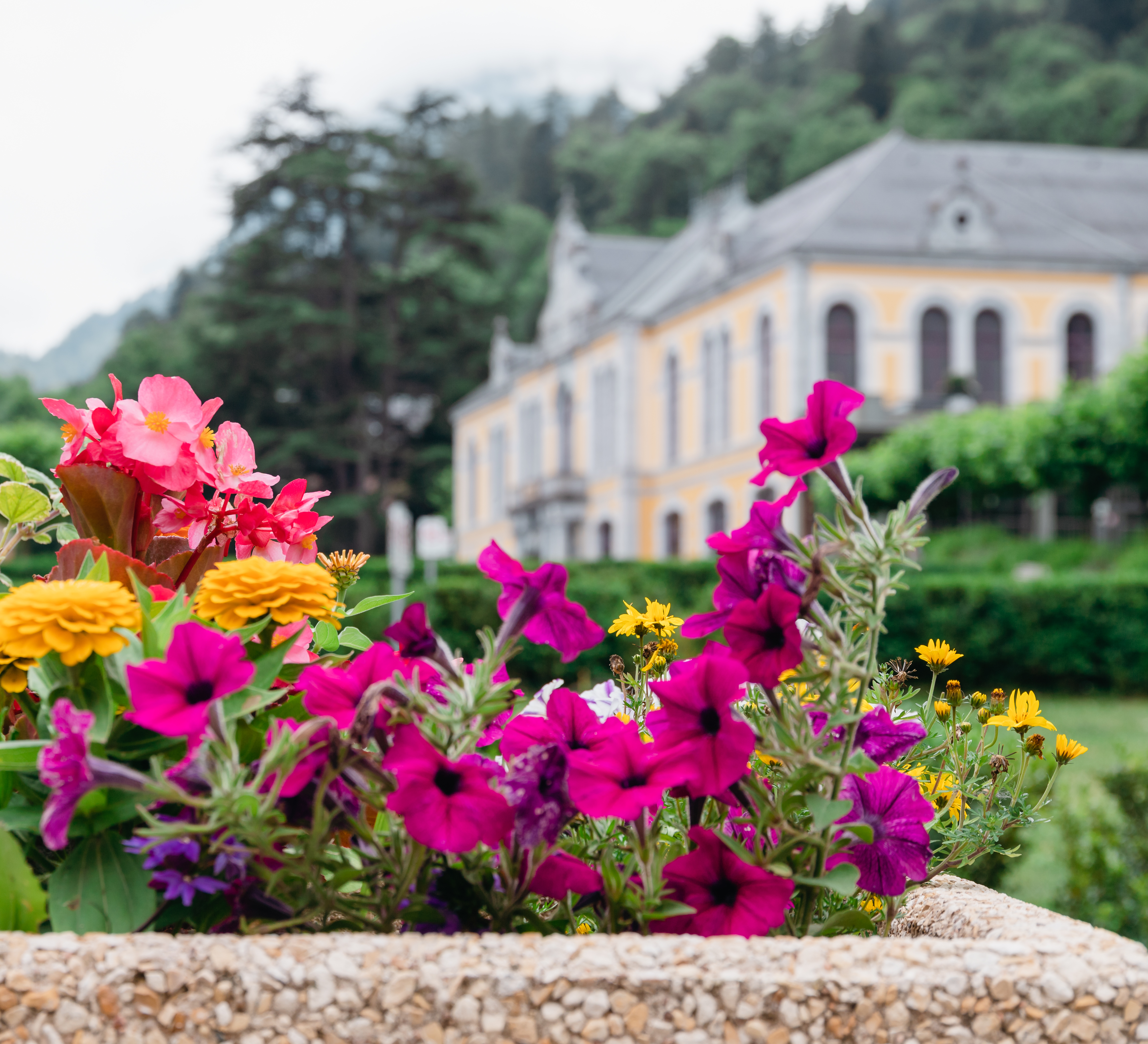 Village Fleuri 2022-3487.jpg