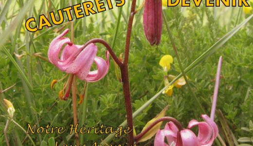 Cauterets devenir.jpg