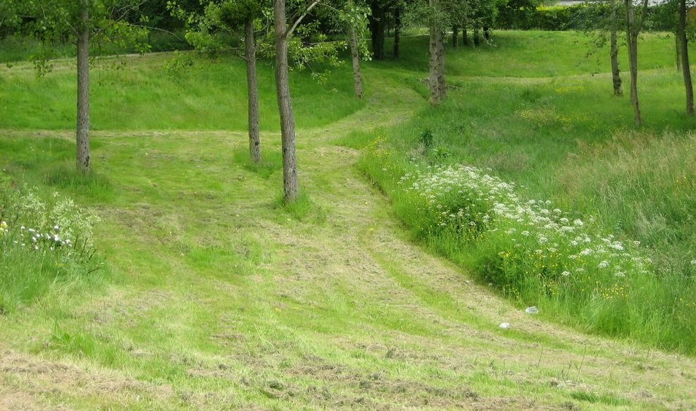 gestion différenciéez.jpg