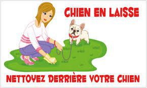 déjections canines.jpeg