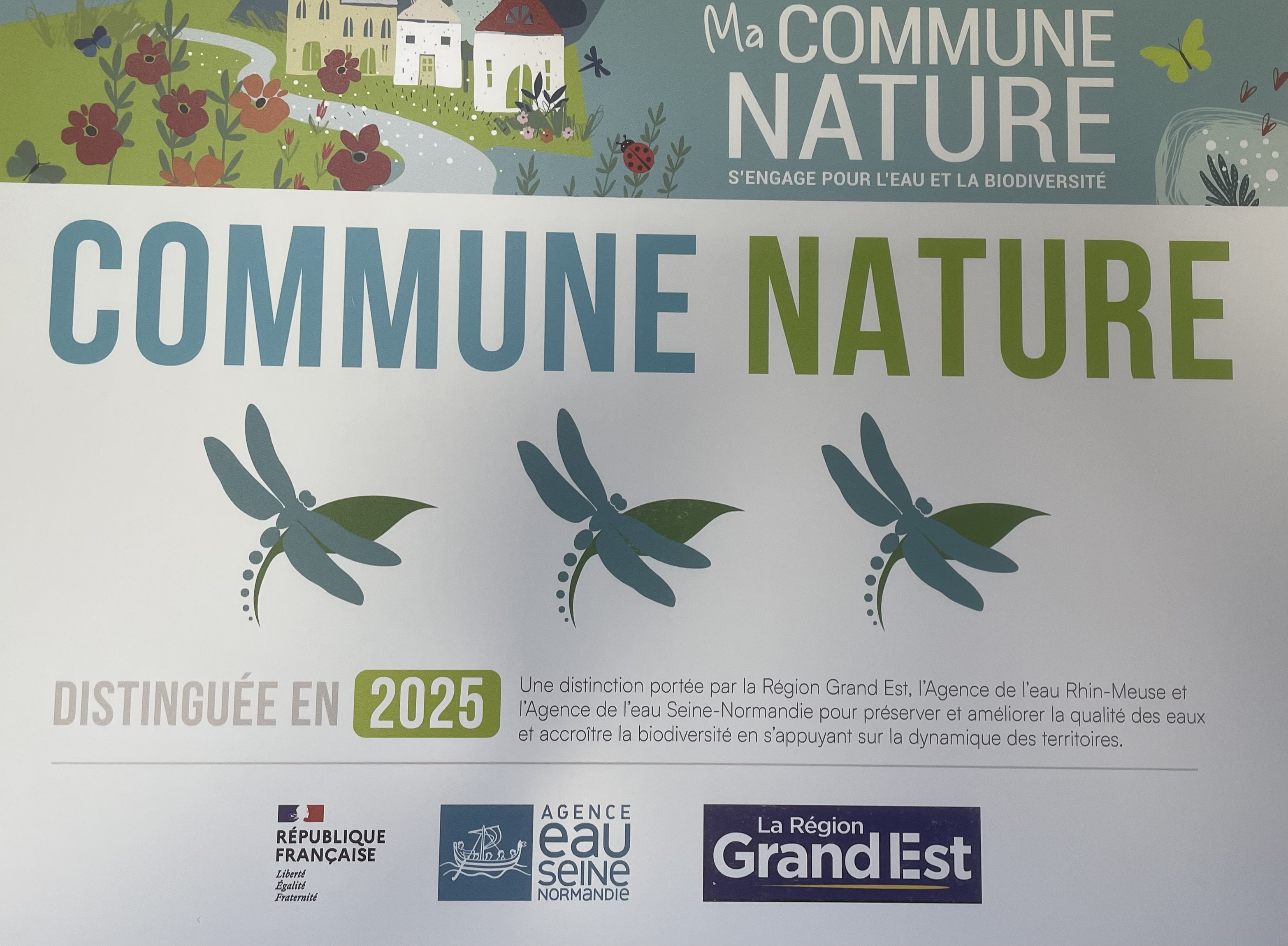 Com Nature 2025.jpeg