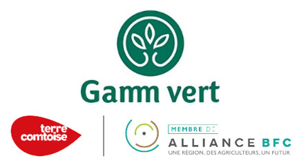 logo GAMM VERT.png