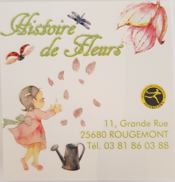 logo histoire fleurs.jpg