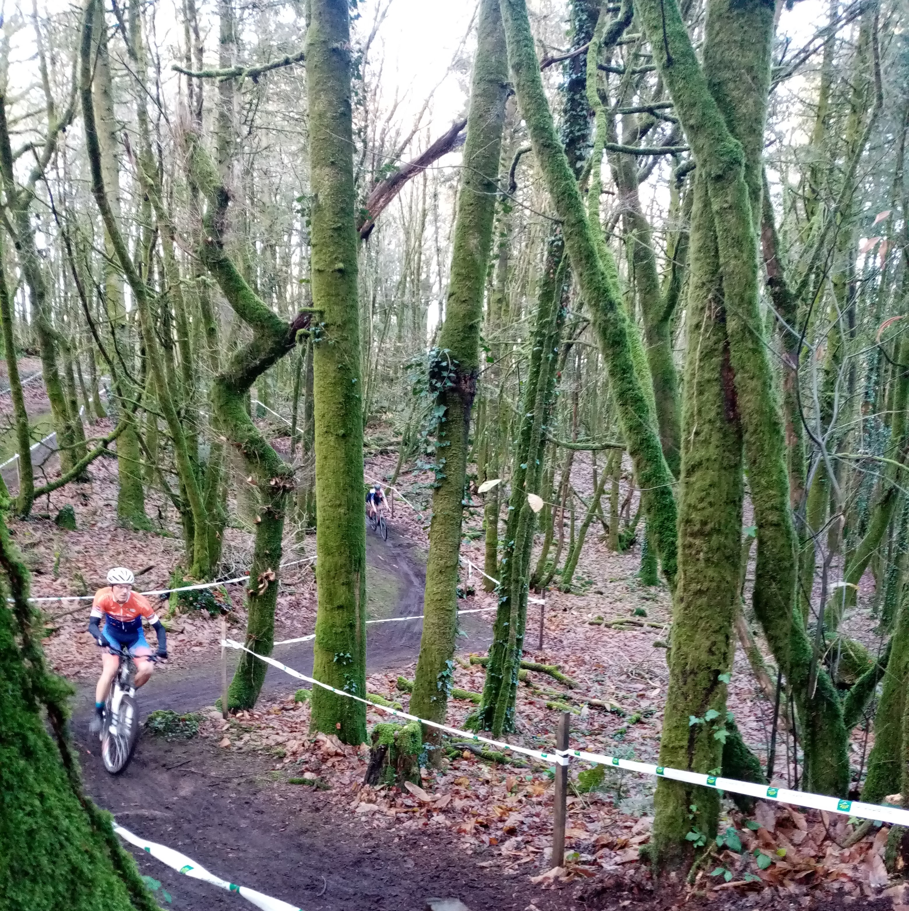 cyclo bois 2 2025.jpg