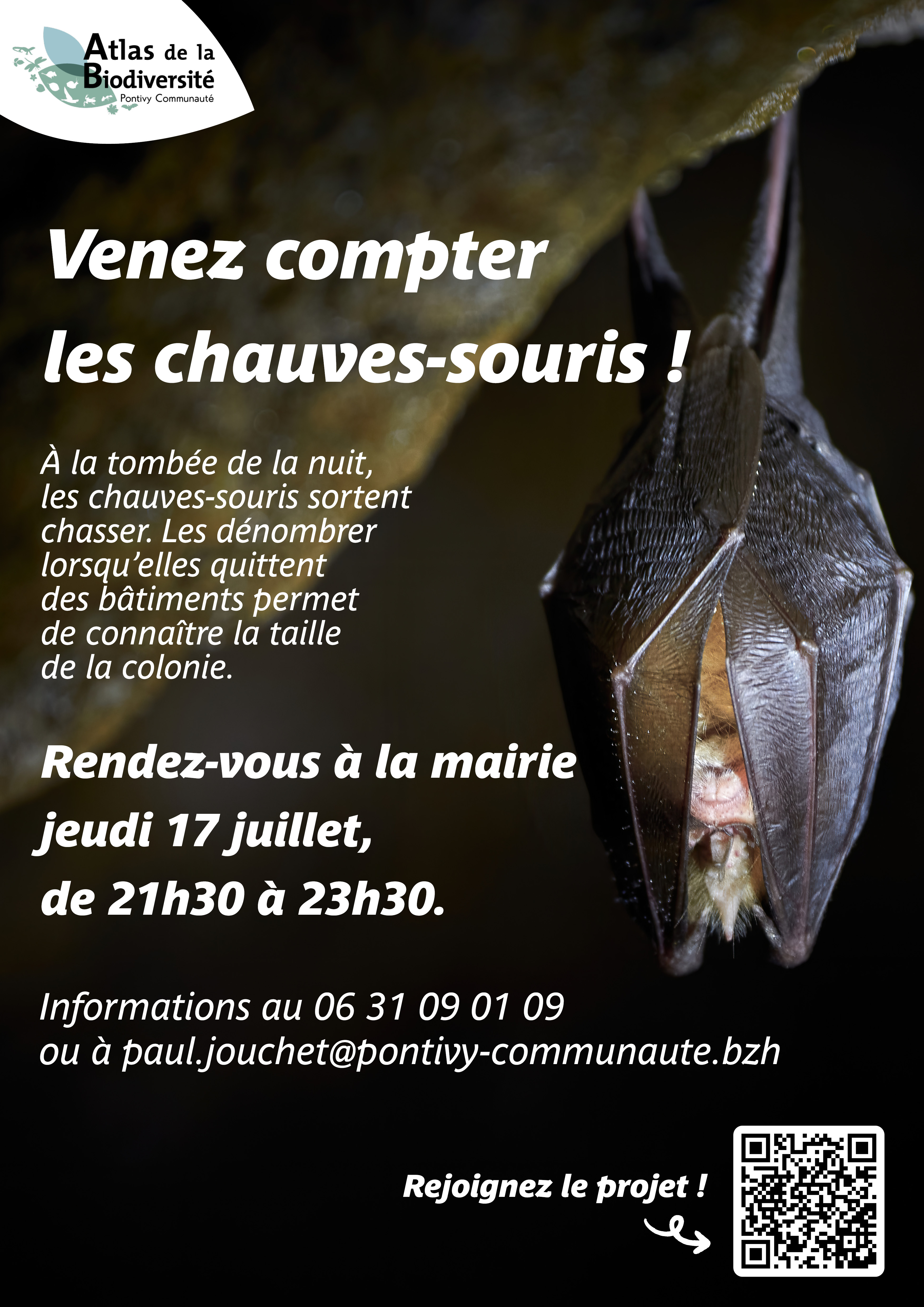 COMPTAGE CHAUVES SOURIS - ABI 2.jpg