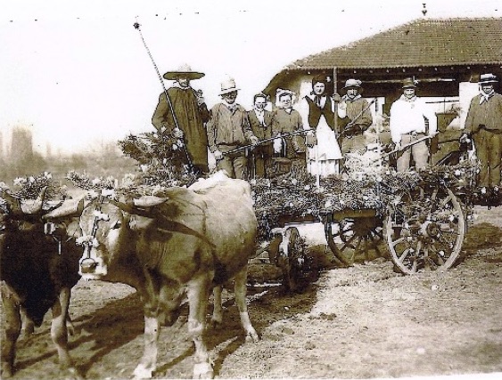 la fete 2.jpg