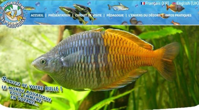Aquarium-des-Tropiques-pas-cher-Allex-–-Drome-660x365.jpg