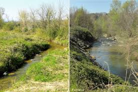 Sur les bords du Pétochin et de la Véore depuis Montéléger.jpg