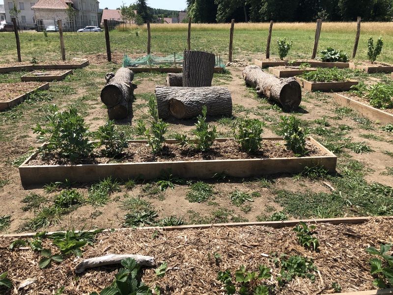 jardin pédagogique _5_.jpg