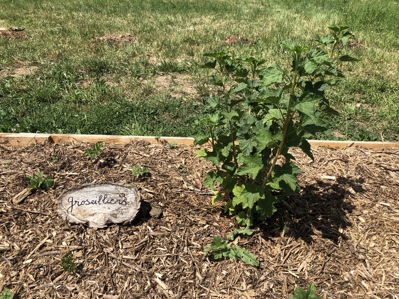 jardin pédagogique _6_.jpg