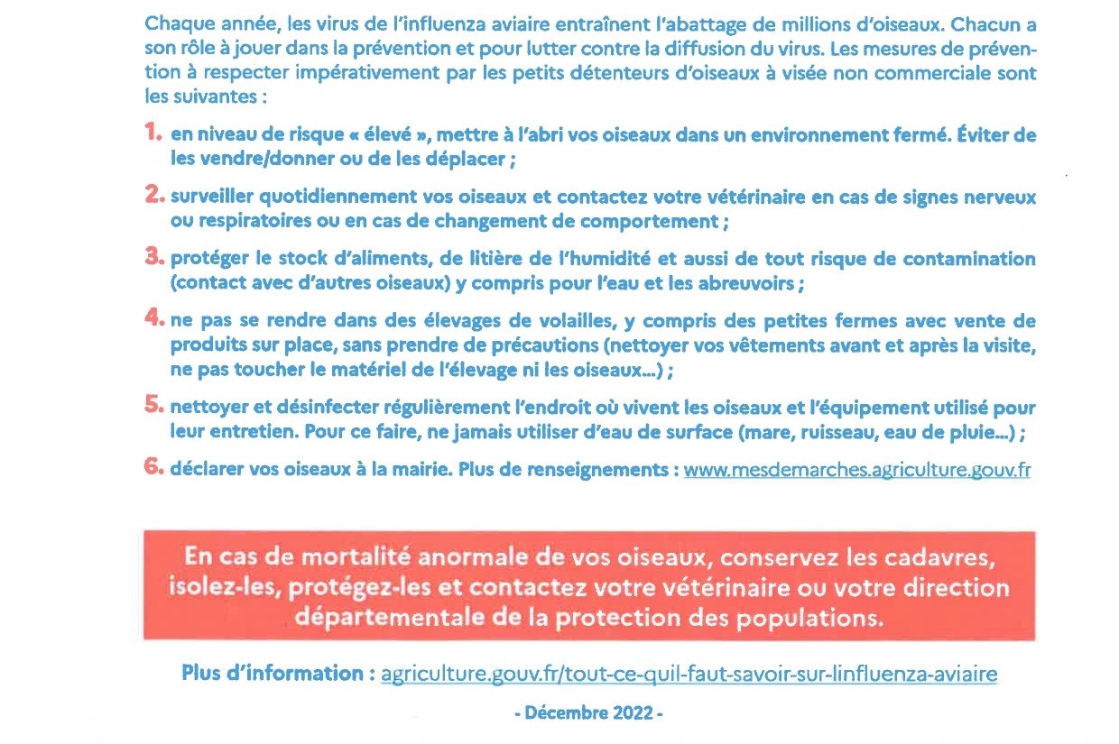 Grippe aviaire 2.jpg