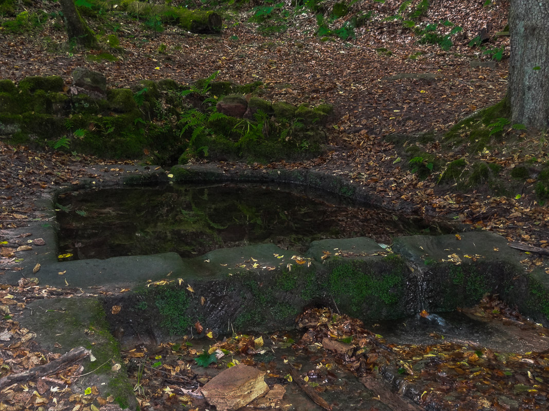 DSC00019.jpg