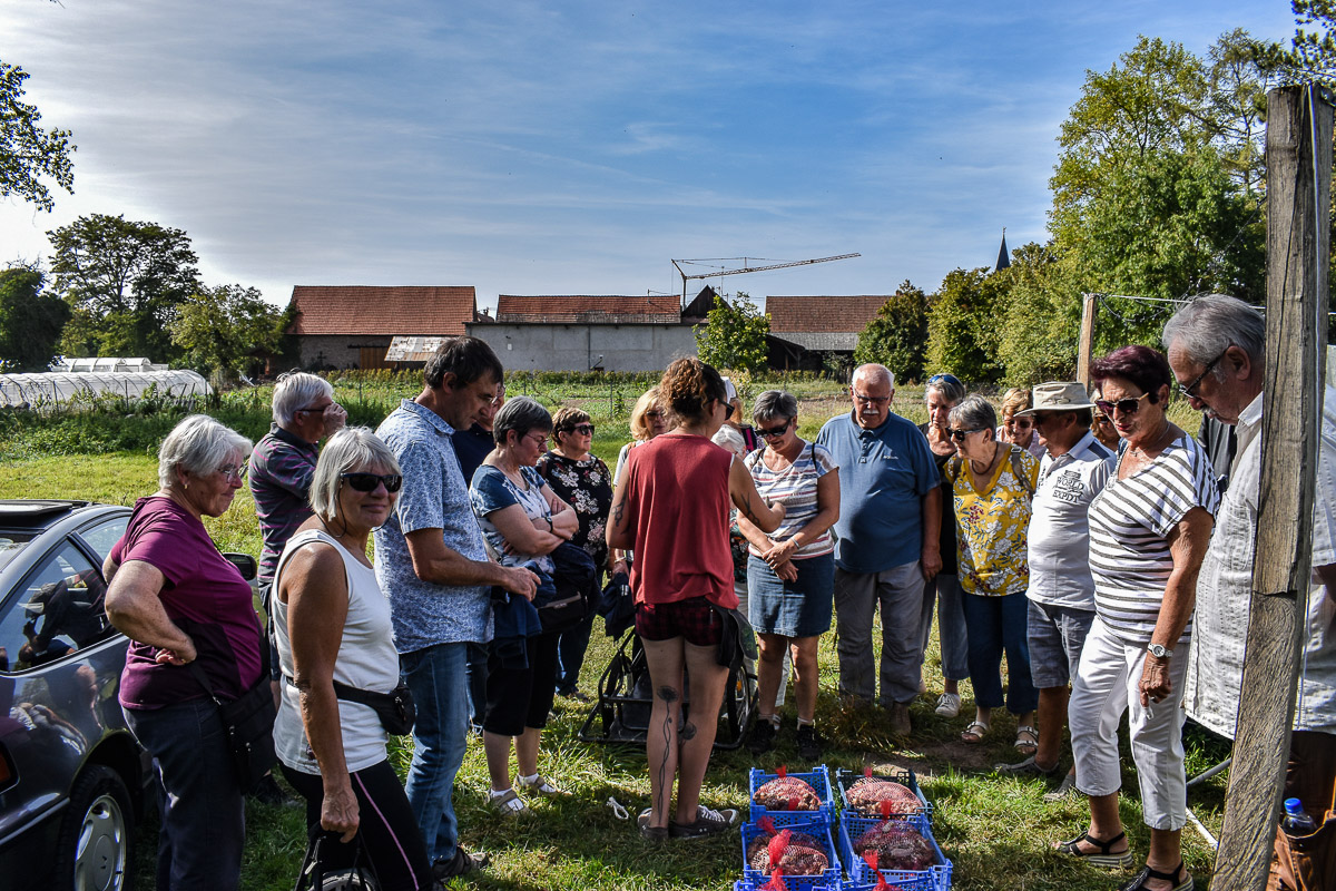 DSC_1246.jpg