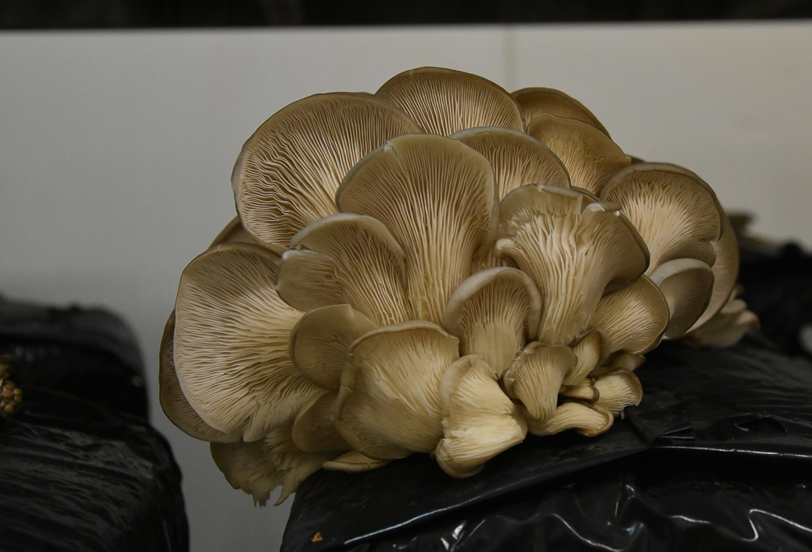 DSC_3173.jpg